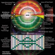Illustration for article titled A New Calendar Can Solve World Problems, Says Galactic Research Institute